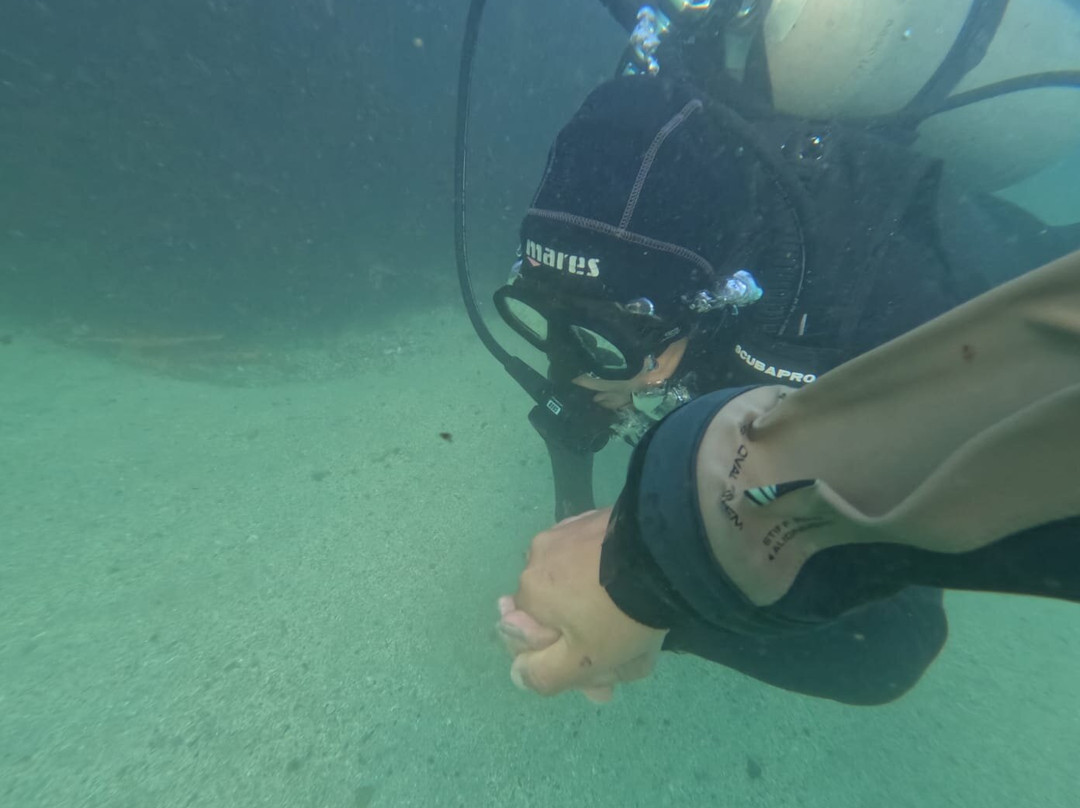 Bravamar Diving Center-Algarrobo必去景点