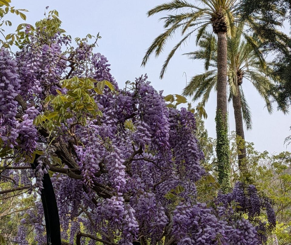 Jardín Botánico de Sóller-索耶尔必去景点