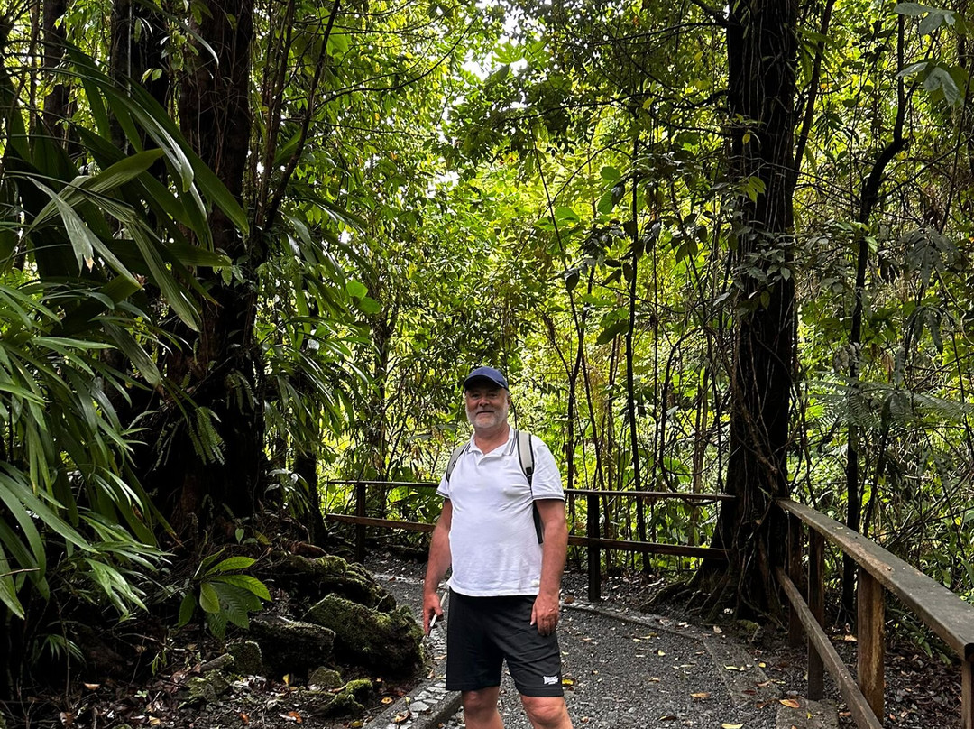 Emerald Pool-Morne Trois Pitons National Park必去景点