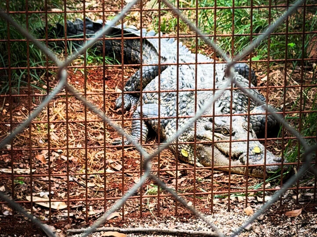 Malcolm Douglas Broome Crocodile Park-布鲁姆必去景点