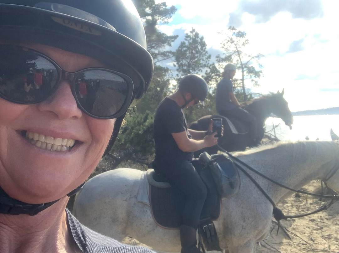 Horse Riding Tasmania-Woodsdale必去景点