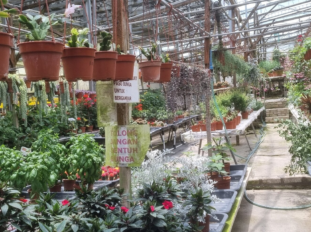 Healthy Strawberry Farm-丹那拉塔必去景点