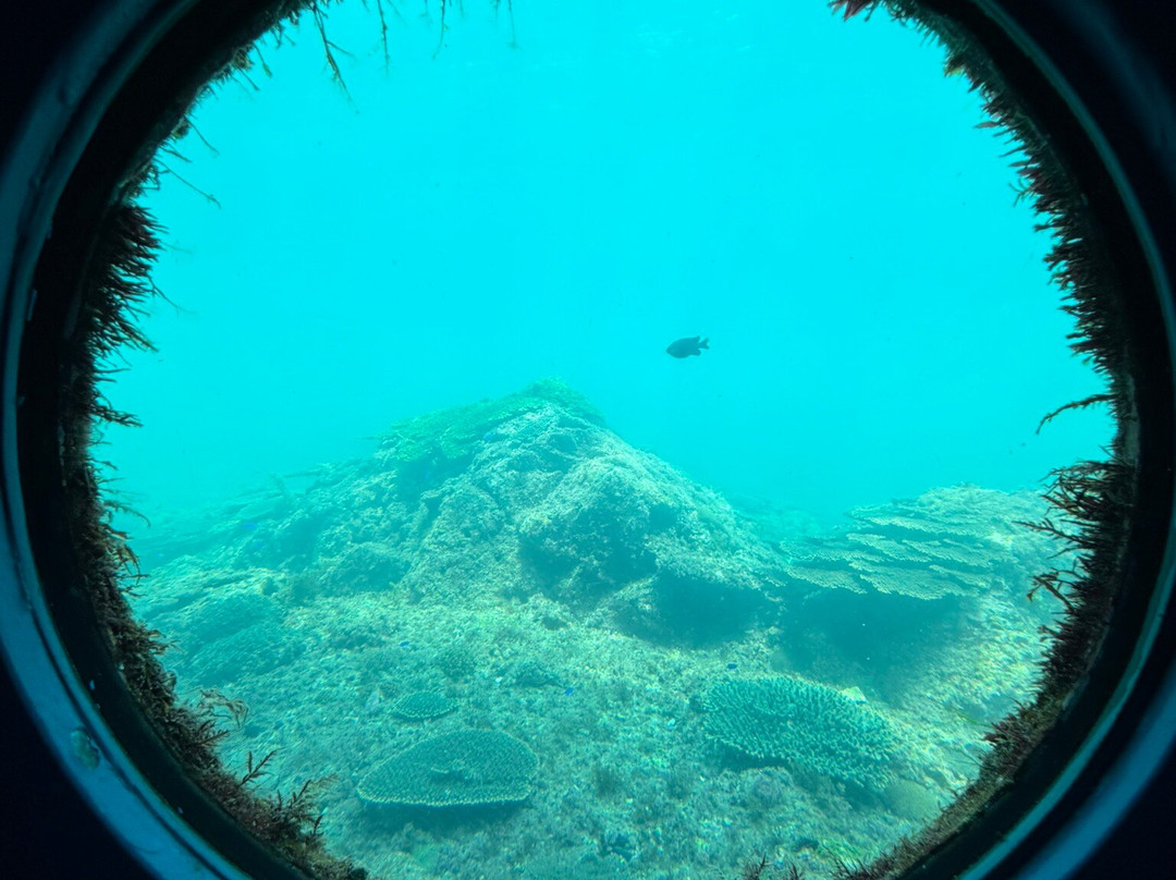 Kushimoto Marine Park Undersea Tower-串本町必去景点