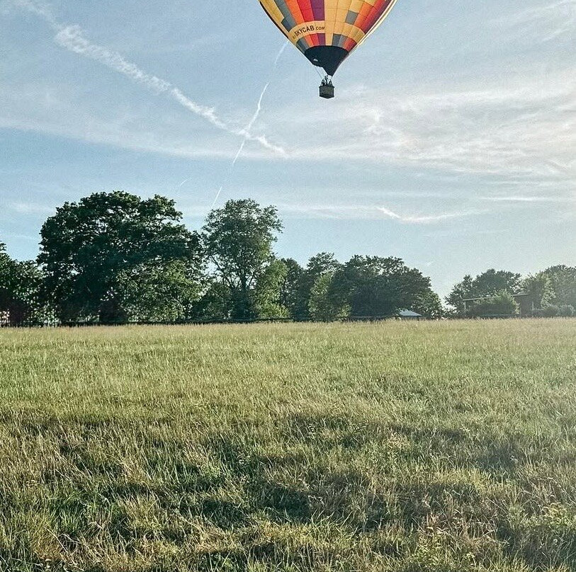 SkyCab Balloon Promotions, Inc.-路易斯维尔必去景点