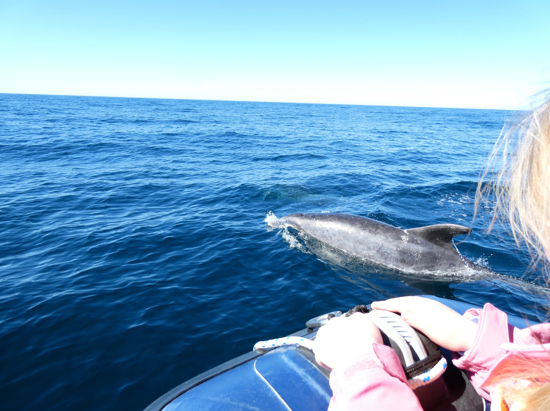 Wildwatch Algarve-费拉古多必去景点