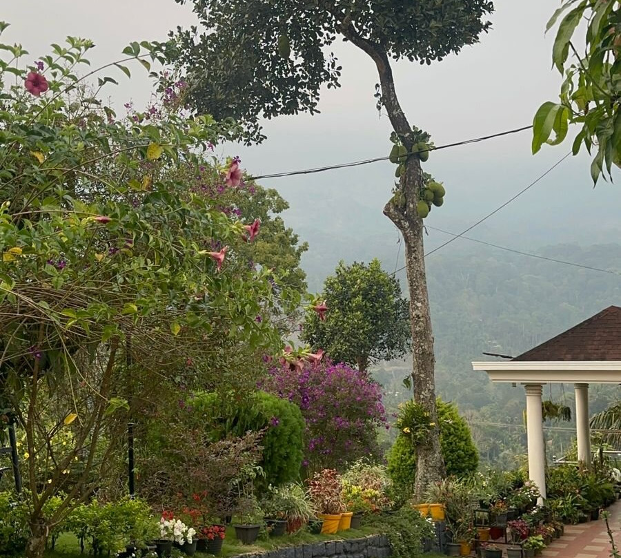 Ayurgem Ayurveda Yoga & Wellness Retreat Munnar-Ambazhachal必去景点
