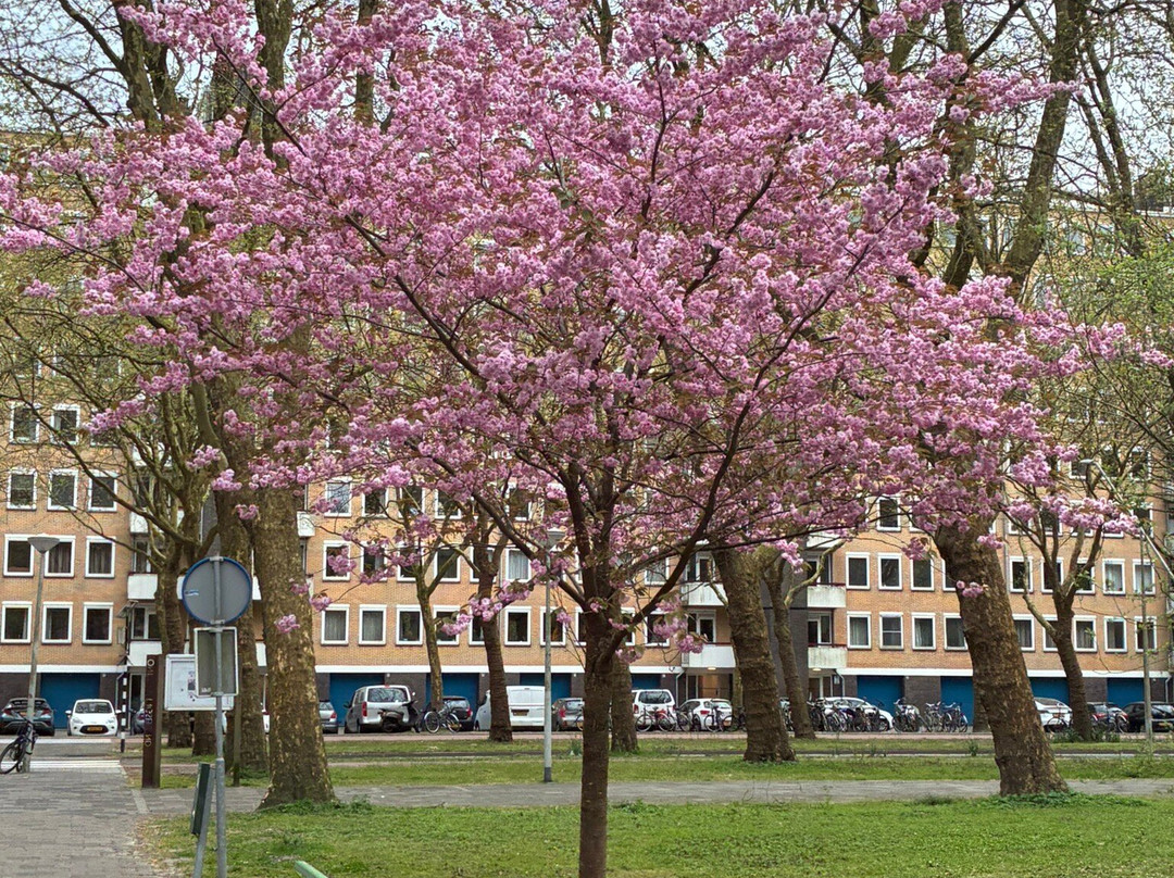 Gijsbrecht Aemstelpark-阿姆斯特丹必去景点