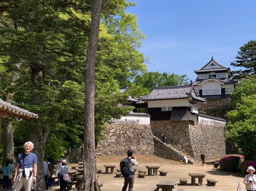 Bitchu Matsuyama Castle-高粱市必去景点