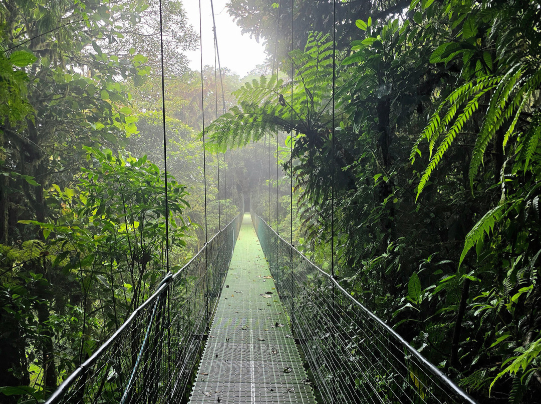 Santa Elena Skywalk-圣埃伦娜必去景点