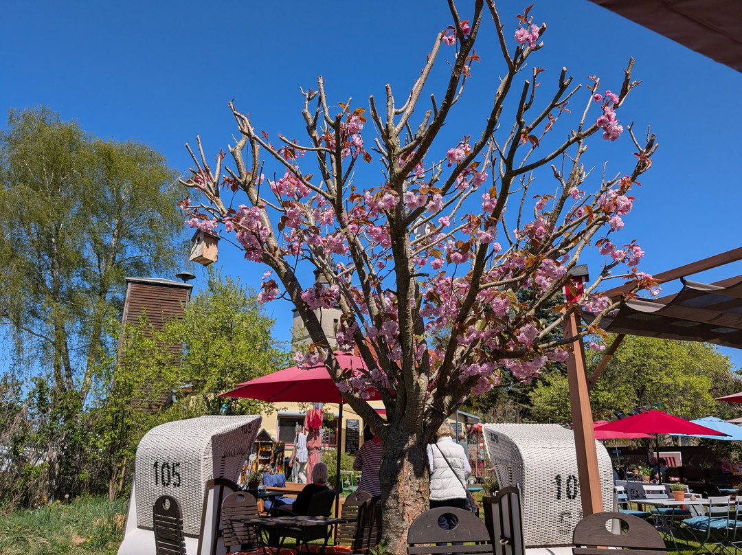 Kaffeegarten "Alte Feuerwehr"