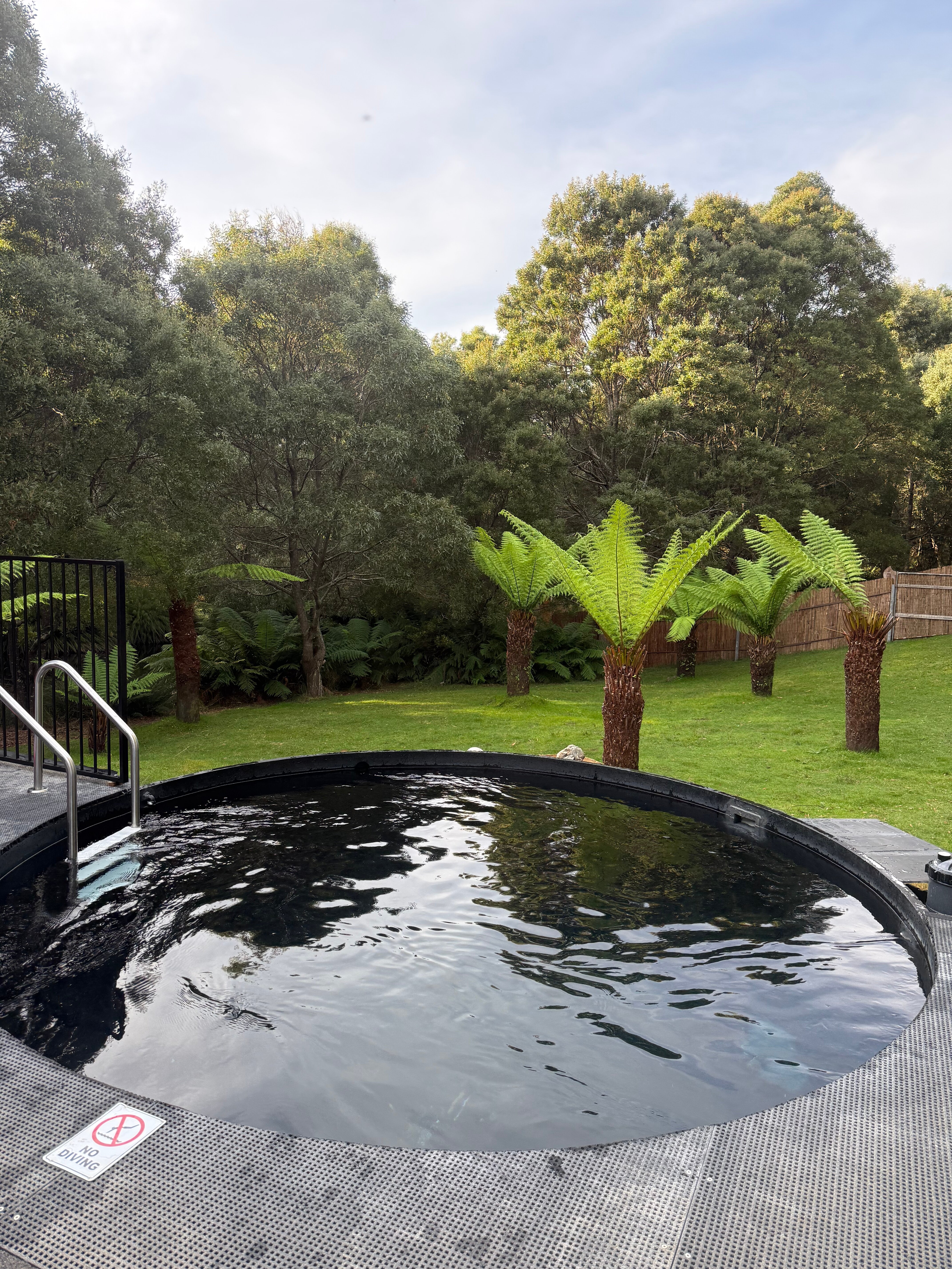Tin Dragon Trail Cottages-旅行者