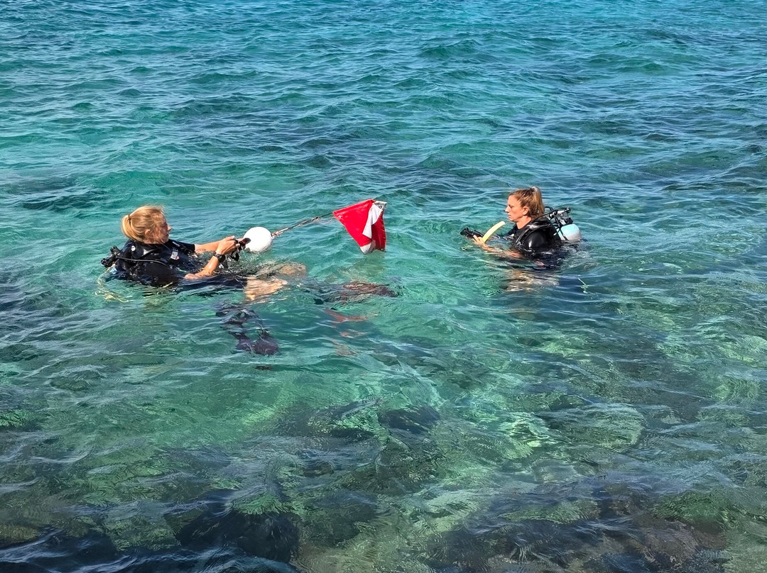 Fundiving Curacao-威廉斯塔德必去景点