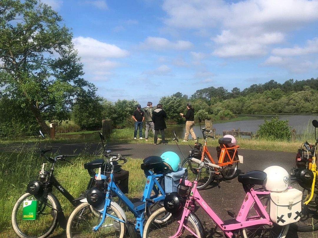 Jvds - J'veux Du Solex-Pontenx-les-Forges必去景点