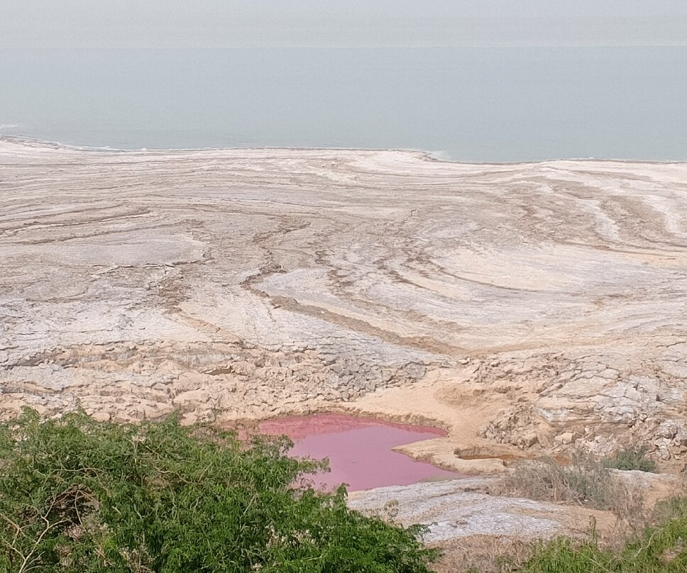 Dead Sea-达纳必去景点