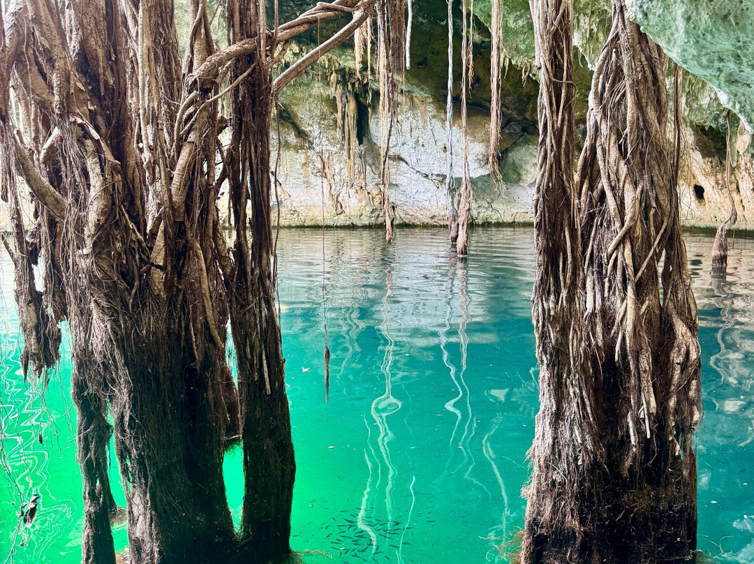 Adventure Tours Yucatan-梅里达必去景点