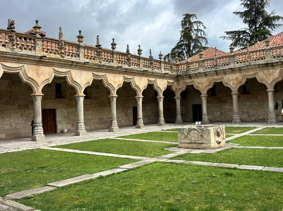 Cielo de Salamanca-萨拉曼卡必去景点