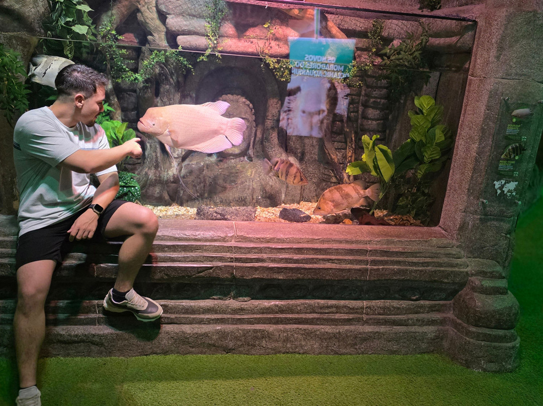 Oceanic Aquarium-康泊琉海水浴场必去景点