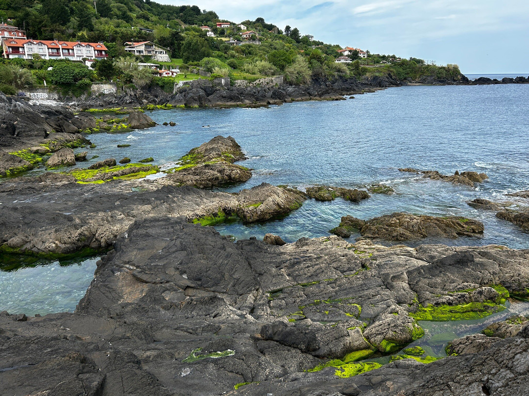 ToursByBasques Private Guided Tours-毕尔巴鄂必去景点
