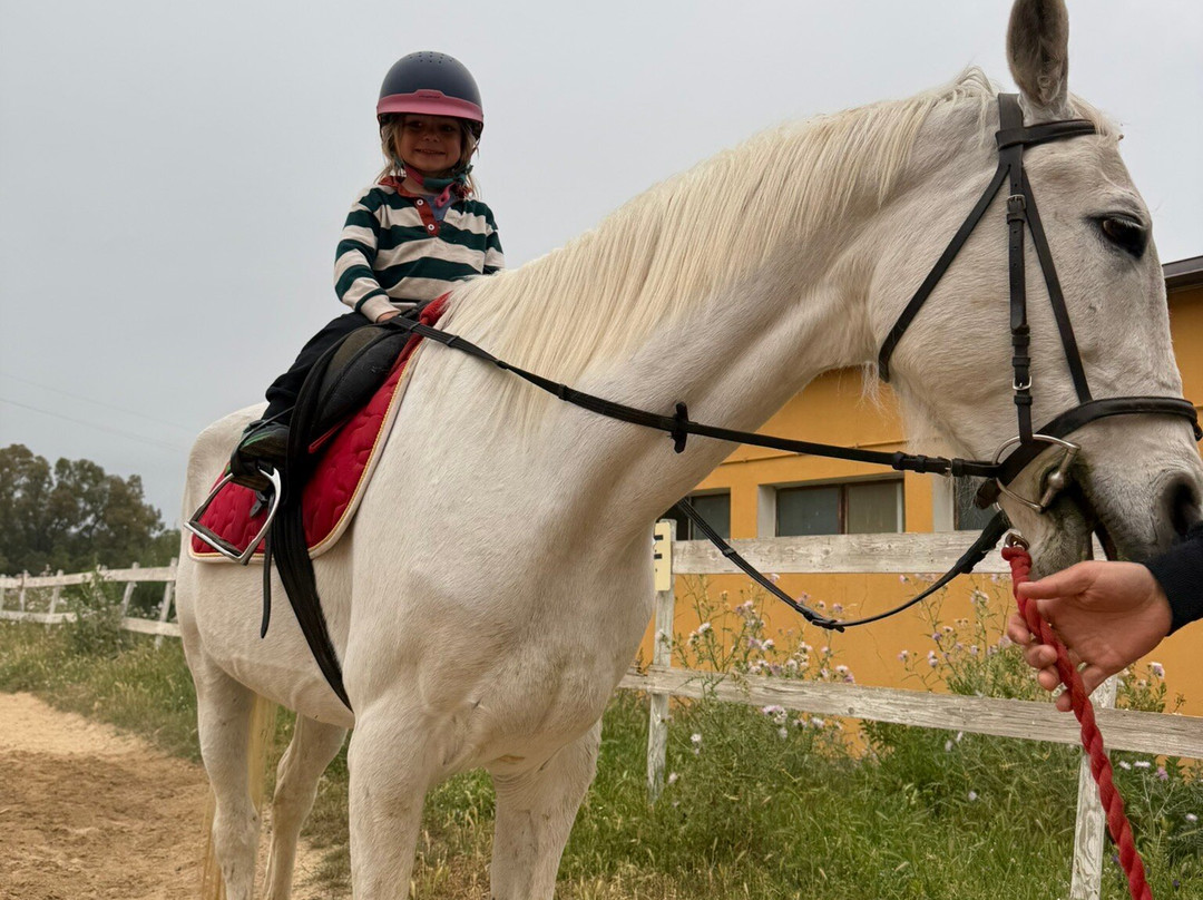 Centro Equestre Il Falco-Castiadas必去景点
