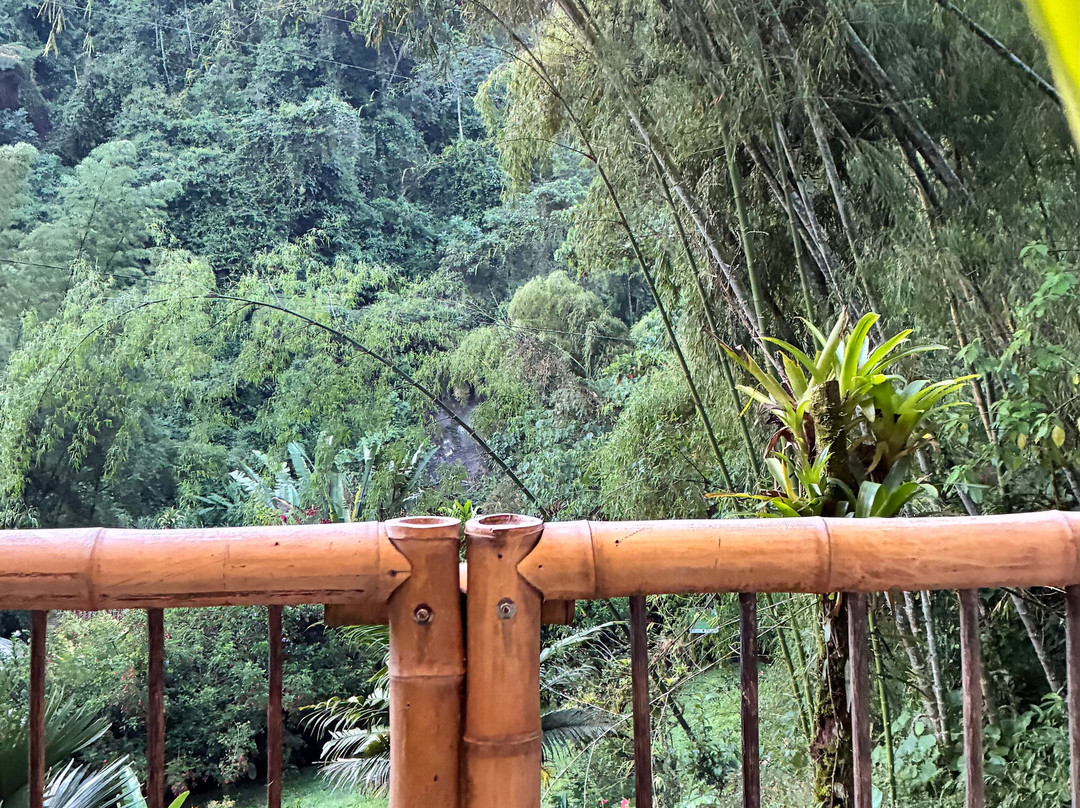 Finca Demostrativa Don Miguel-Villamaria必去景点
