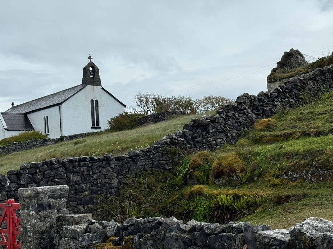 Thomas Faherty Tours-Inishmore必去景点