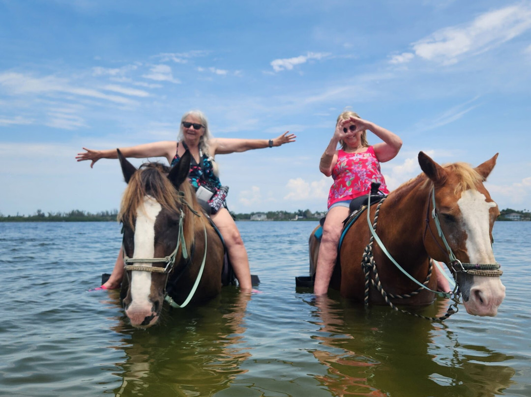 Florida Beach Horses-布雷登顿必去景点