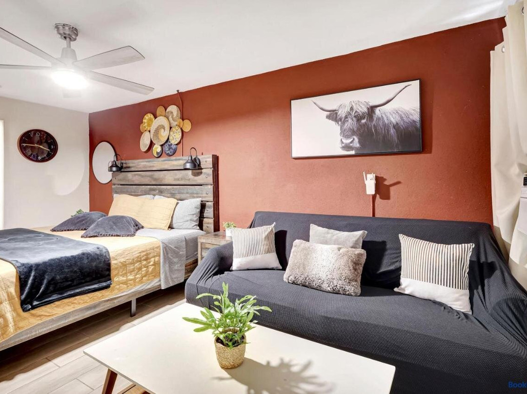 Cozy King Bed Studio - Affordable Fresh Cozy