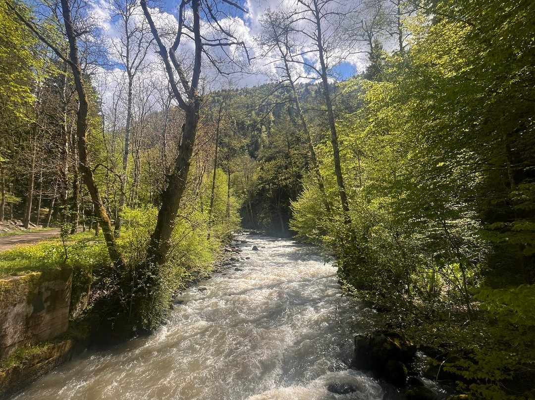 Borjomi Central Park-Borjomi必去景点