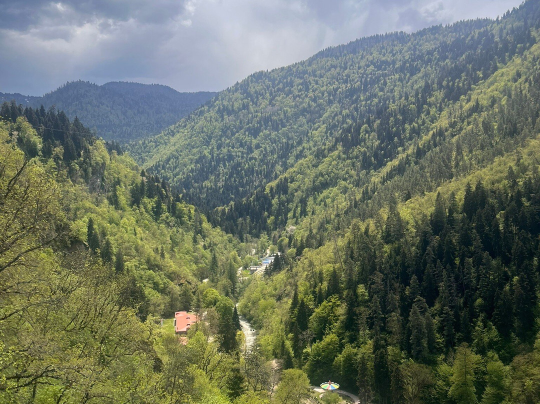 Borjomi Central Park-Borjomi必去景点