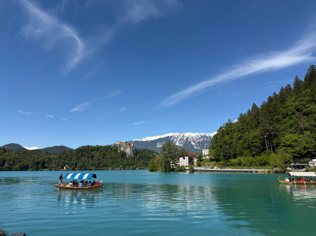 Adventure Slovenia-卢布尔雅那必去景点