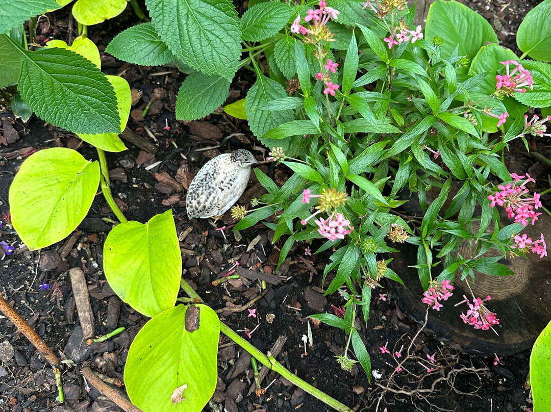 Missoula Butterfly House & Insectarium-米苏拉必去景点