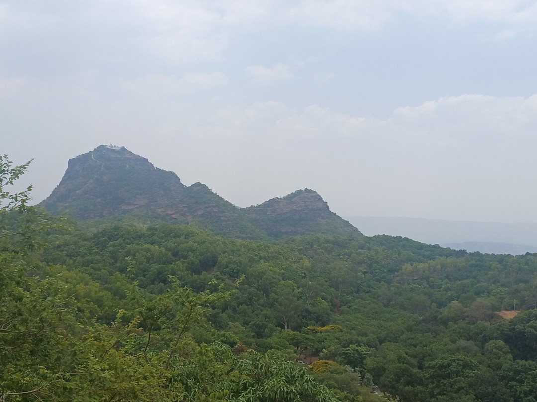 Pachmarhi-贾巴尔普尔必去景点
