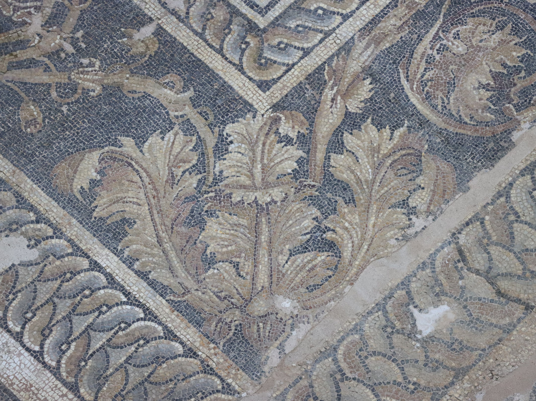 Archaeological Museum of Dion-Dion必去景点