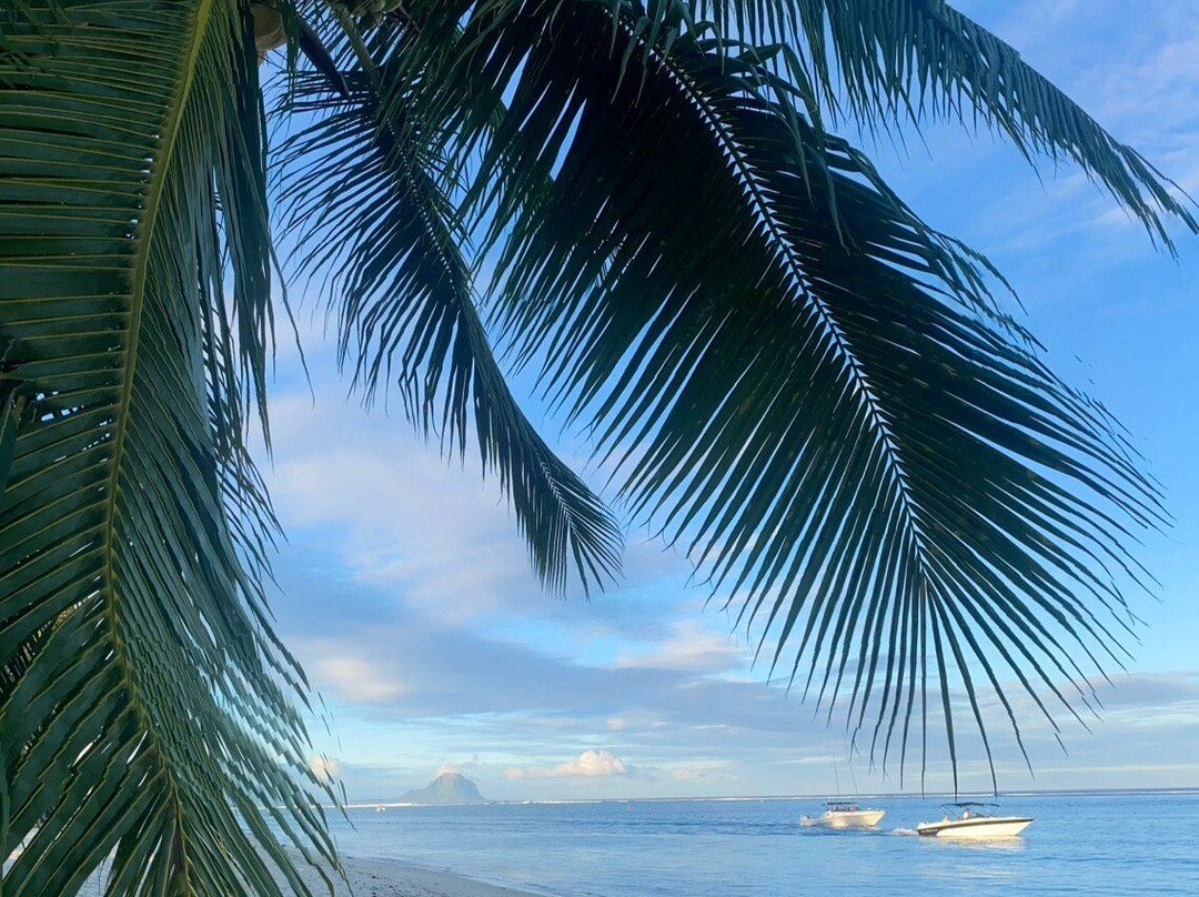 Taxi Mauritius Transfer-博巴森-荷津必去景点