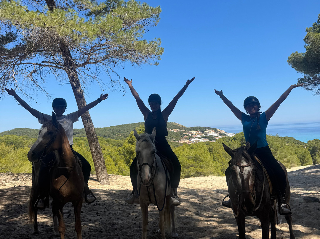 Hipico Cala Ratjada Eddi's Reitstall-Cala Ratjada必去景点