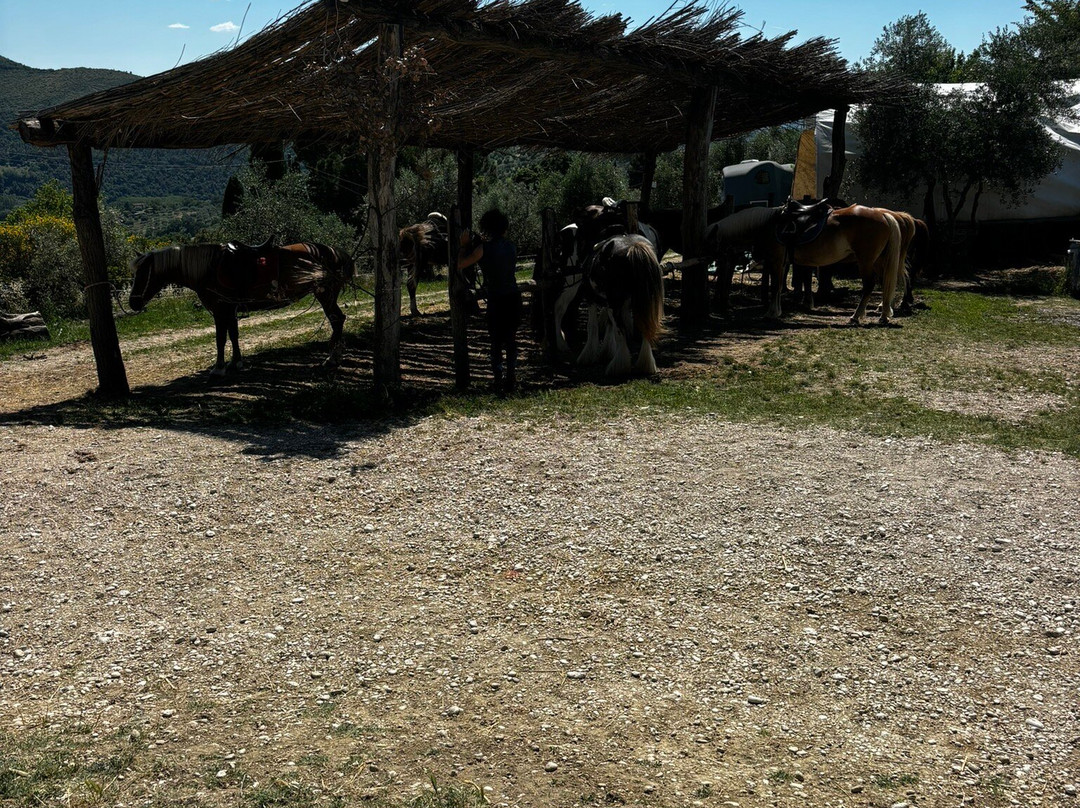 Sulla Collina di Castelnuovo di Farfa-Castelnuovo di Farfa必去景点