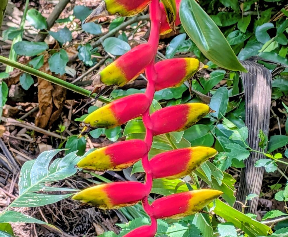 Natuwa Wildlife Santuary-彭塔雷纳斯必去景点