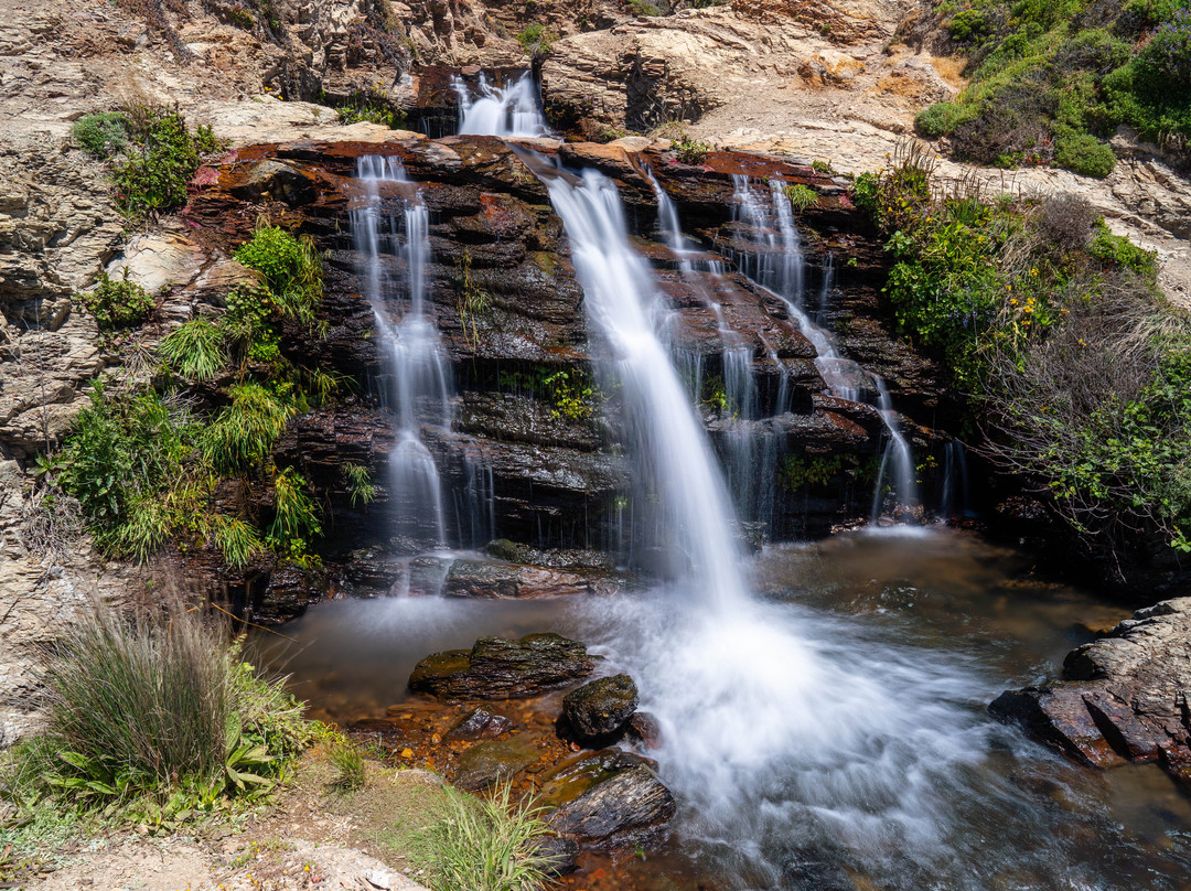 Alamere Falls-Bolinas必去景点
