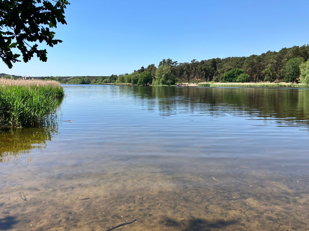Frensham Little Pond-Frensham必去景点