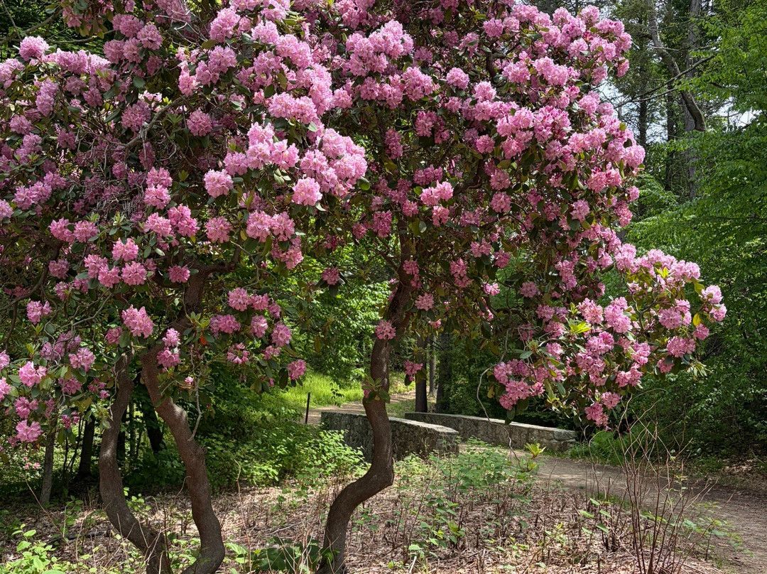 Maudslay State Park-纽伯里波特必去景点