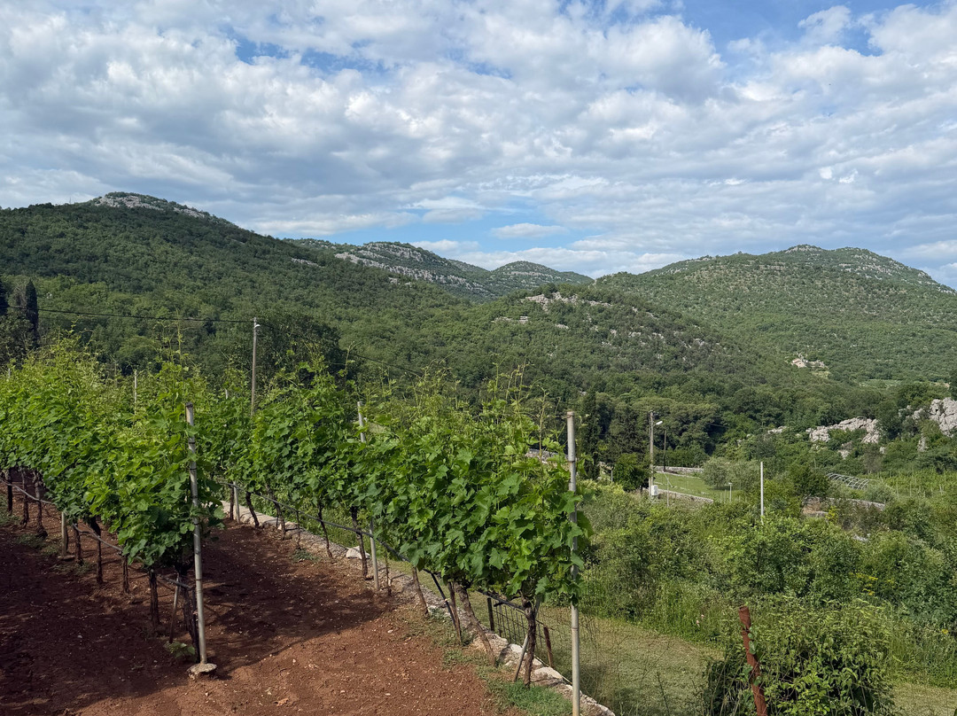 Mrkan Winery-Cetinje必去景点