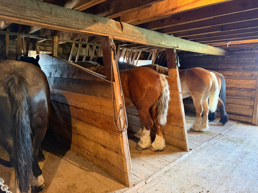 Grant-Kohrs Ranch - National Historic Site-Deer Lodge必去景点