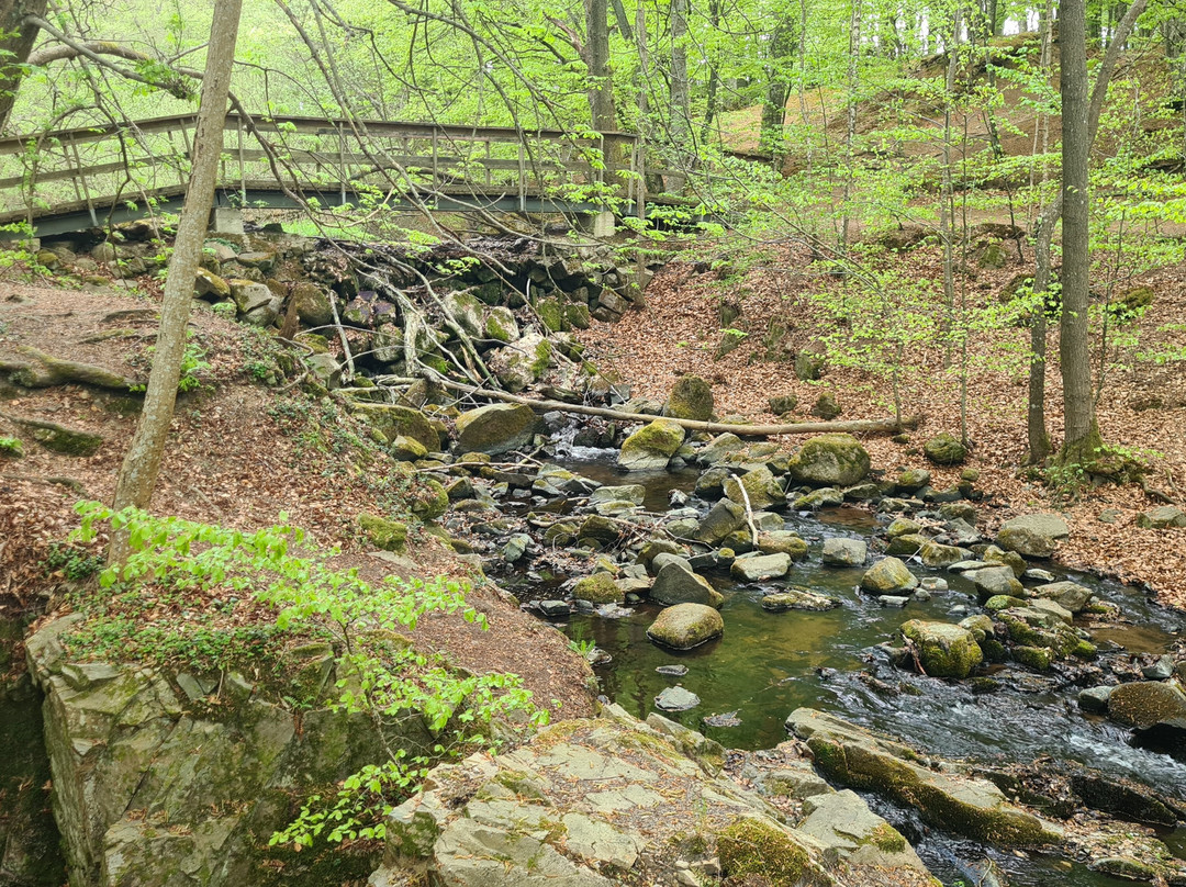 Forsakar Nature Reserve-Degeberga必去景点