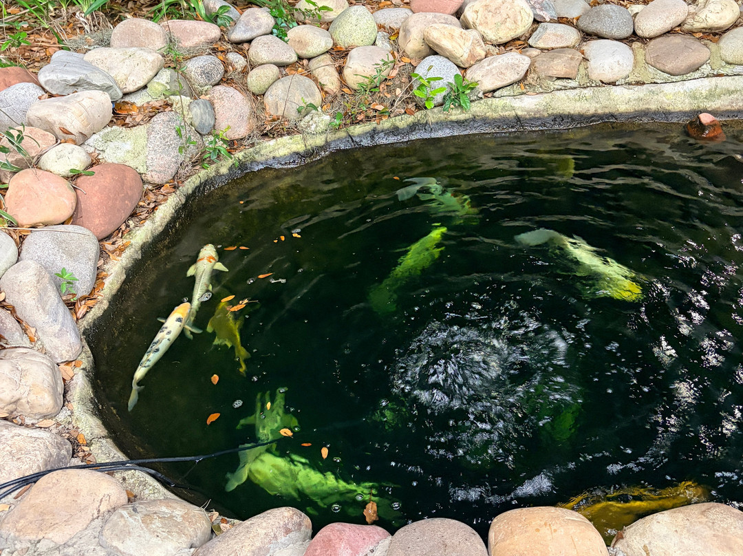 奥卡拉马之旅馆主图