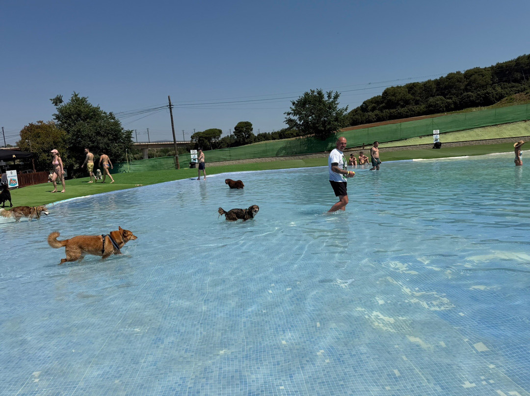 Aquapark Canino Perros Al Agua-拉罗卡德尔瓦列斯必去景点