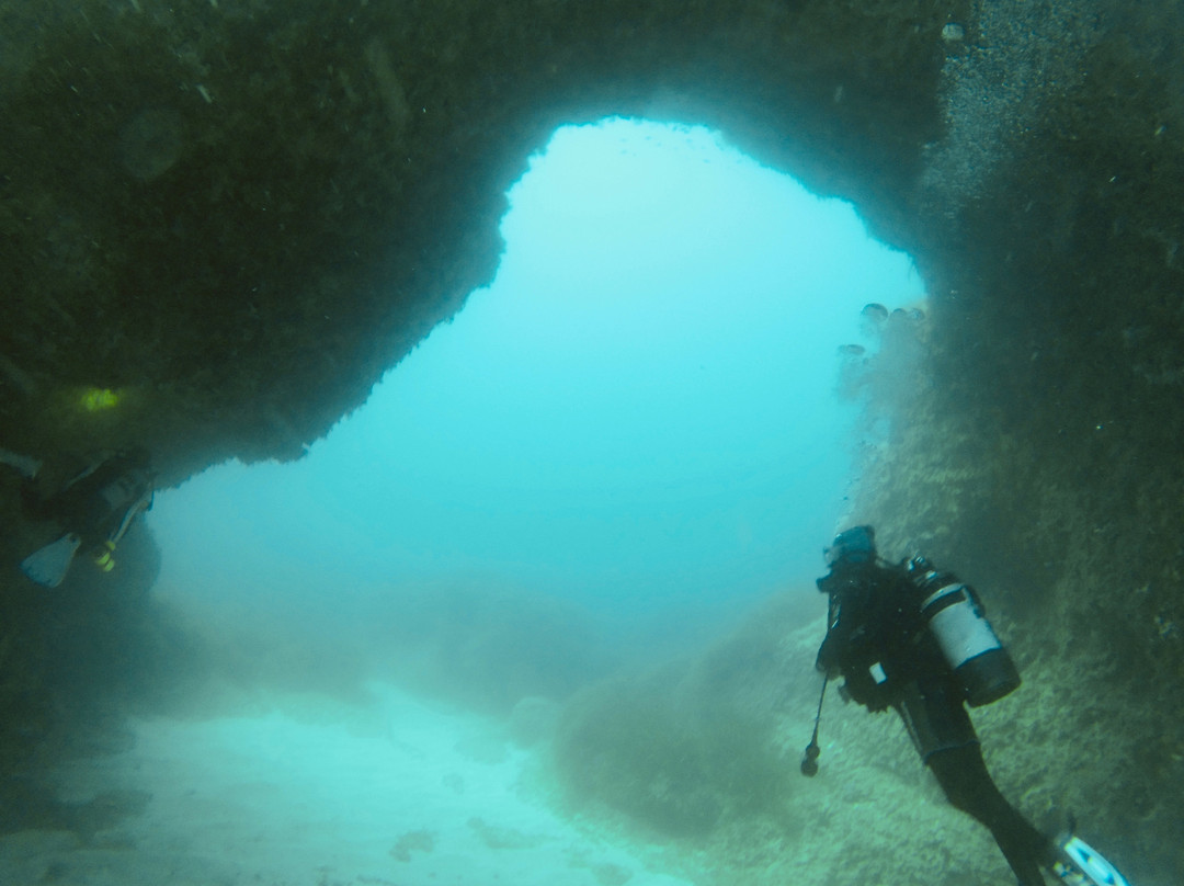 East Coast Divers Mallorca-Portocolom必去景点