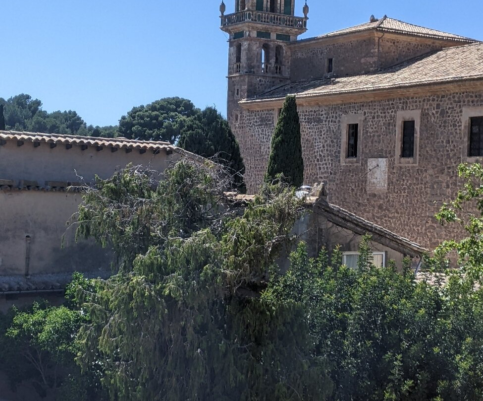 Cartoixa de Valldemossa-法德摩萨必去景点