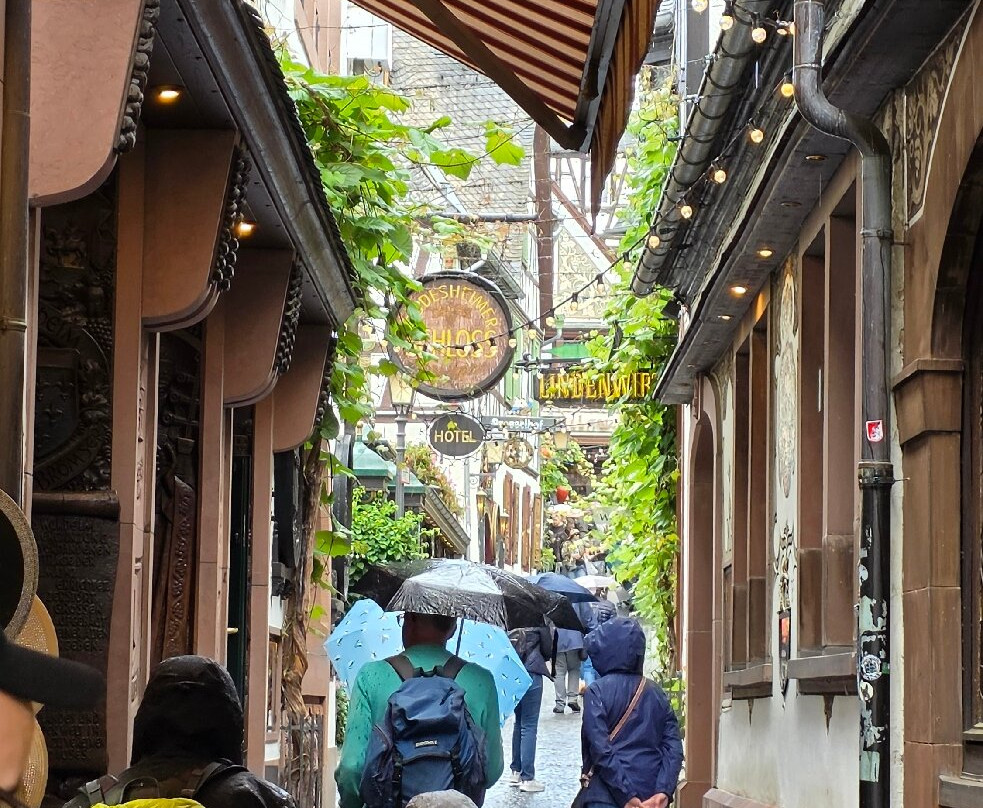 Drosselgasse-吕德斯海姆必去景点