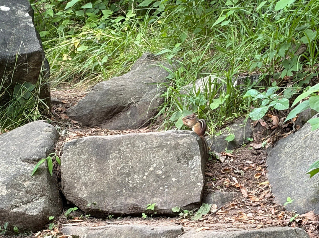 Baldpate Mountain-Titusville必去景点