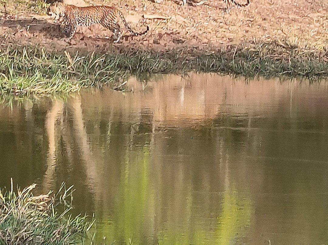Freedom Safari Jeep Tours-蒂瑟默哈拉默必去景点